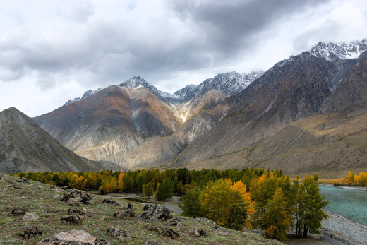 1756575 (a): :3500x2335